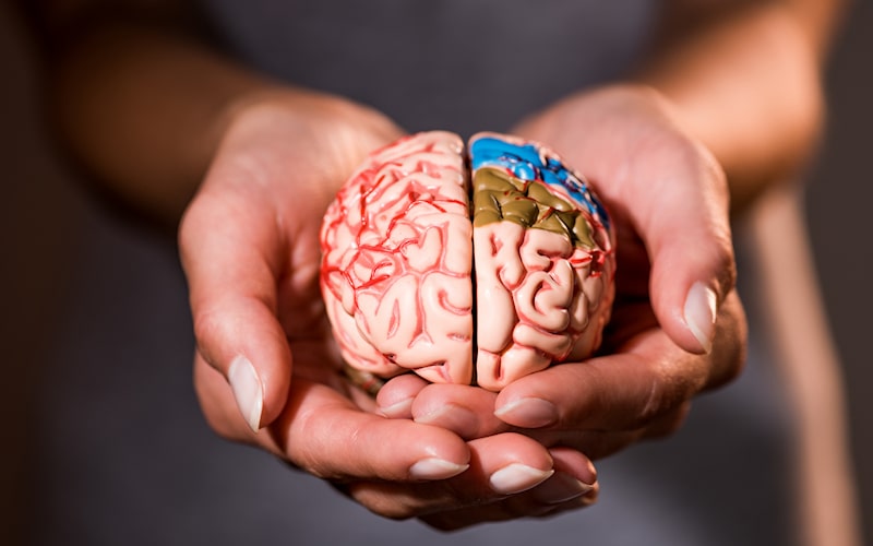 A Leader in the Mental Healthcare Industry